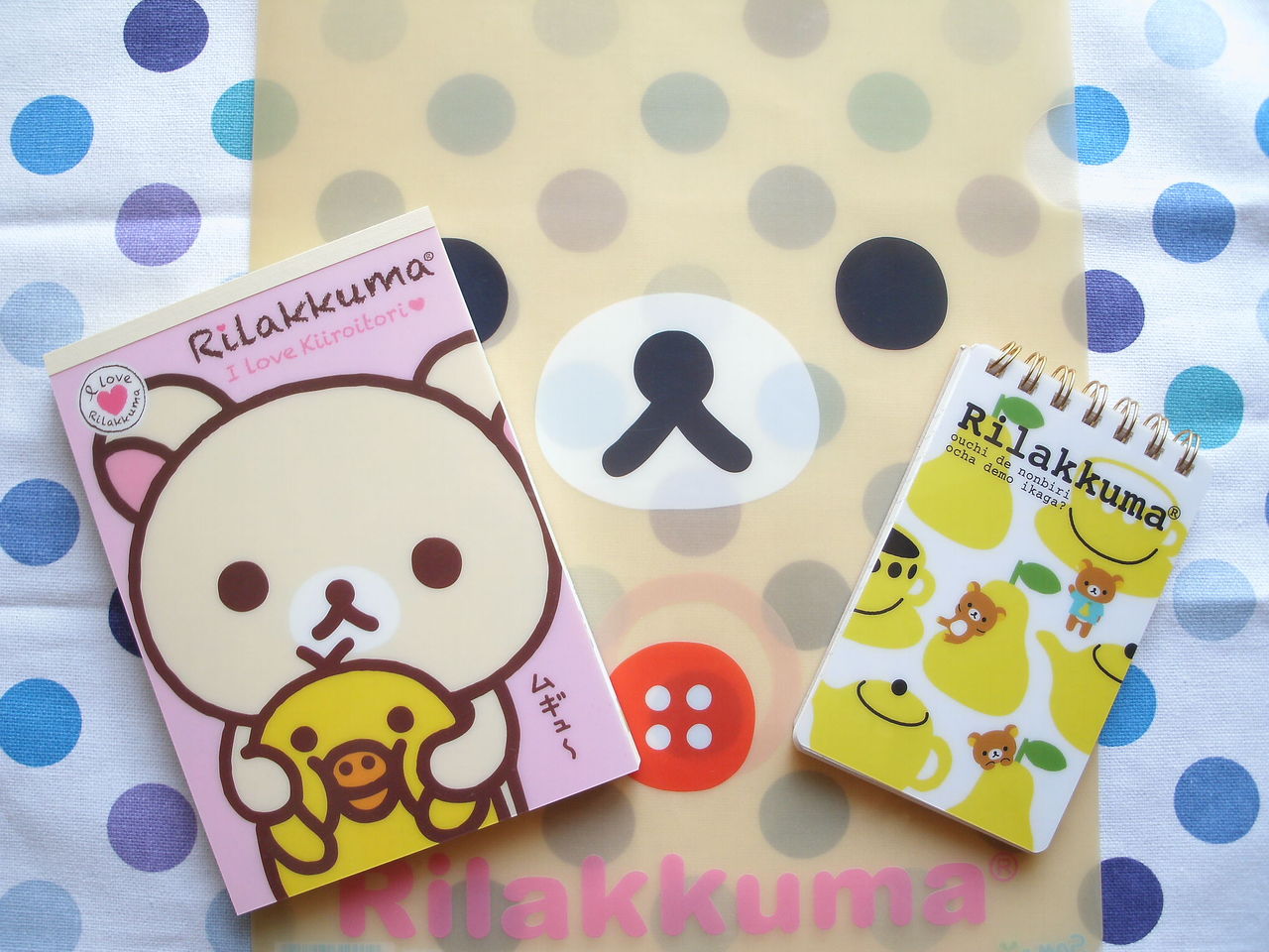 11年08月 リジイの日記