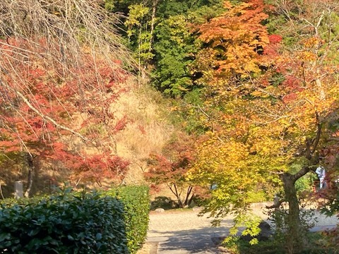 0ED086CF-D1E5-4DED-88B9-BE01E8337CA6