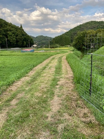 020E8A14-1A9C-4753-933D-CC10625051AC