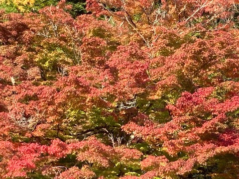 7CC4C49D-70E0-4DDA-89DD-530DF37D95DB