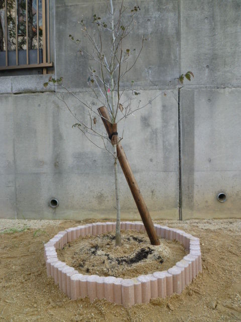 シンボルツリーを花壇ブロックで囲う Diy Heaven