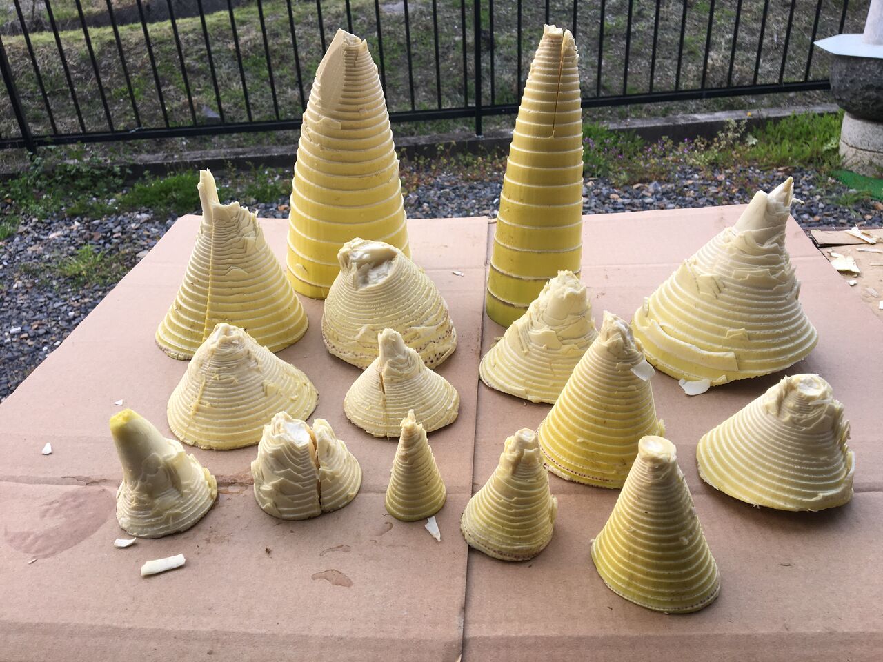 筍のアク抜きと料理 Diy Heaven 筍のアク抜きと料理 Diy Heaven