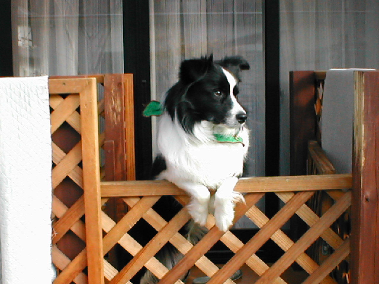 ベランダの扉が90度開くようにしました Diy Heaven