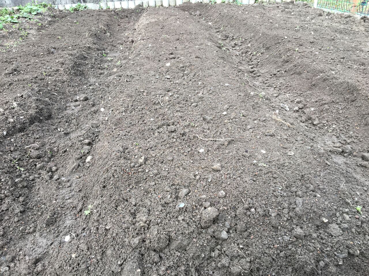 家庭菜園に夏野菜の苗を植える準備が出来ました Diy Heaven