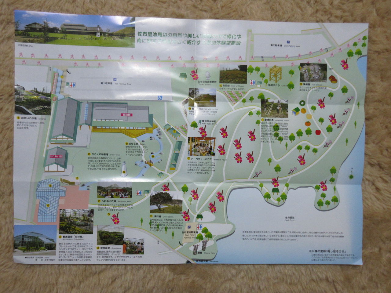 半布里 そうり 池 梅まつり を見学 Diy Heaven