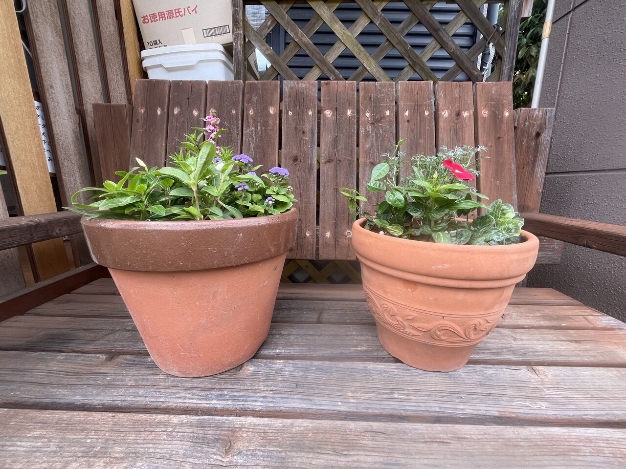 寄せ植えをプランター2鉢作りました！ : DIY HEAVEN