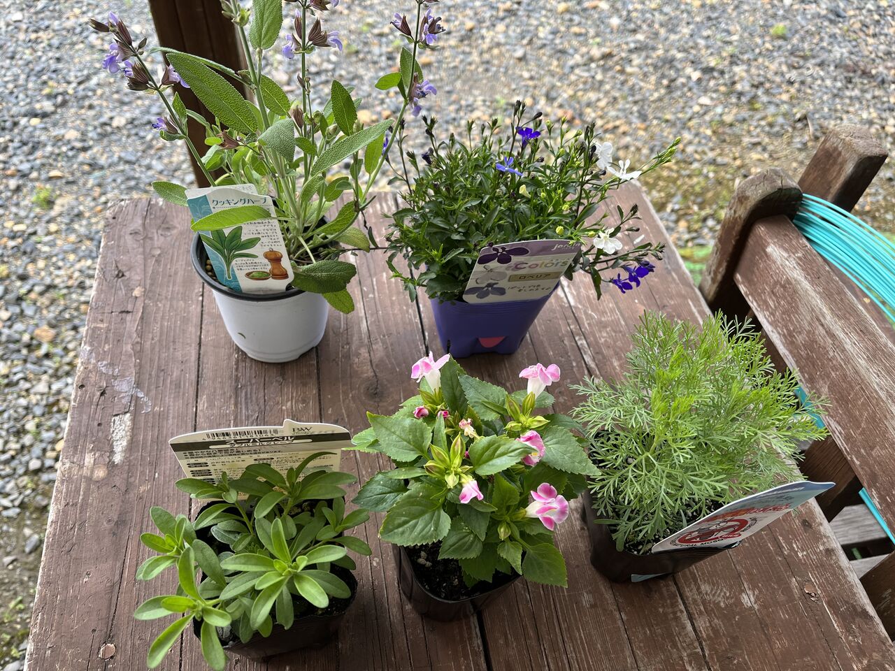 プランターの花を植え替えました Diy Heaven