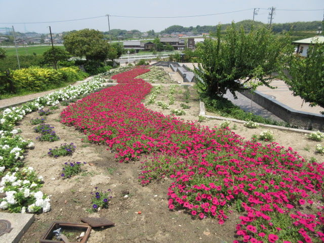 佐布里緑と花のふれあい公園 を散策 Diy Heaven