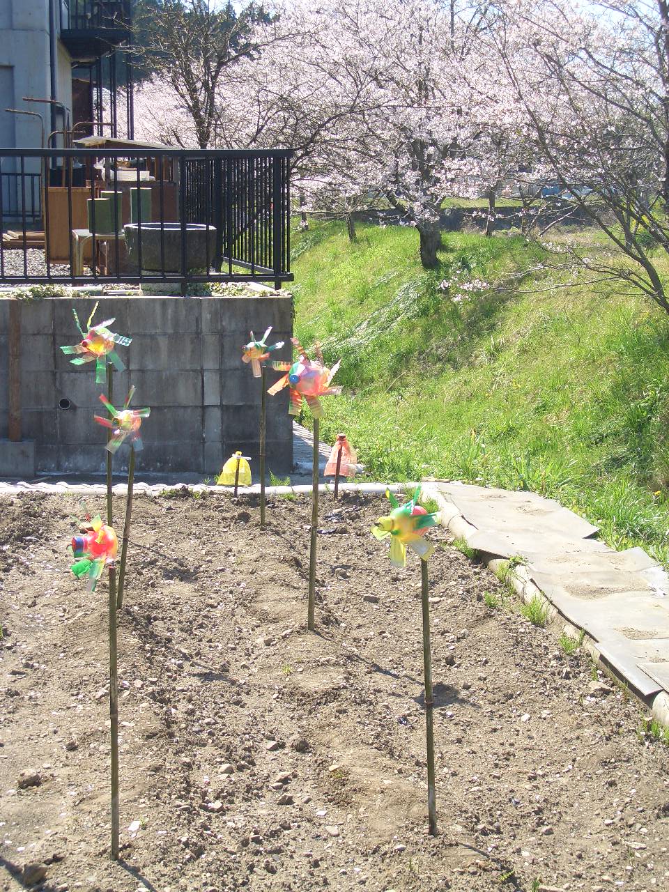 モグラ対策 Diy Heaven