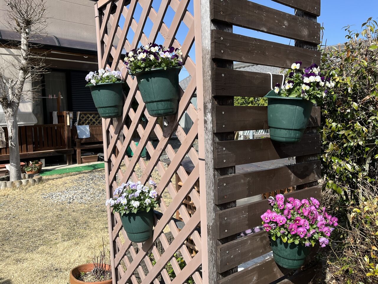 我が家の花壇 プランターと散歩中に撮った花です Diy Heaven