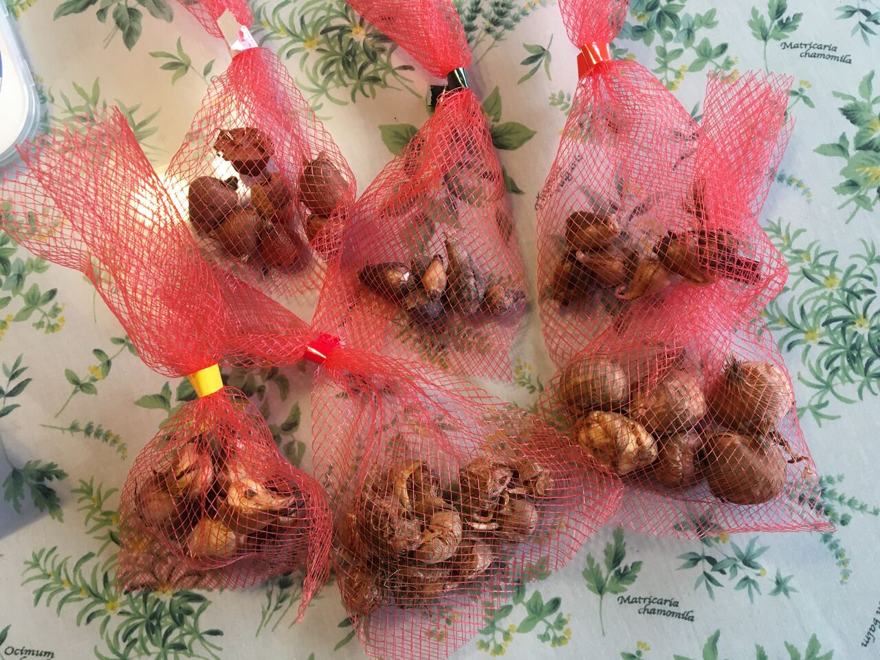 6種類の花の球根を花壇に植えました Diy Heaven