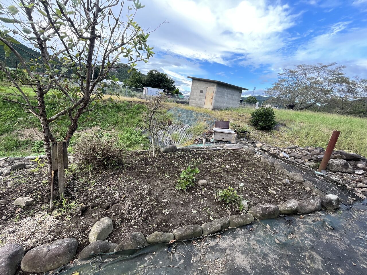 第３花壇の草引き Diy Heaven