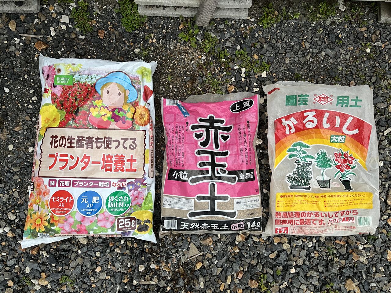 宿根かすみ草 をポットからプランターに移植しました Diy Heaven