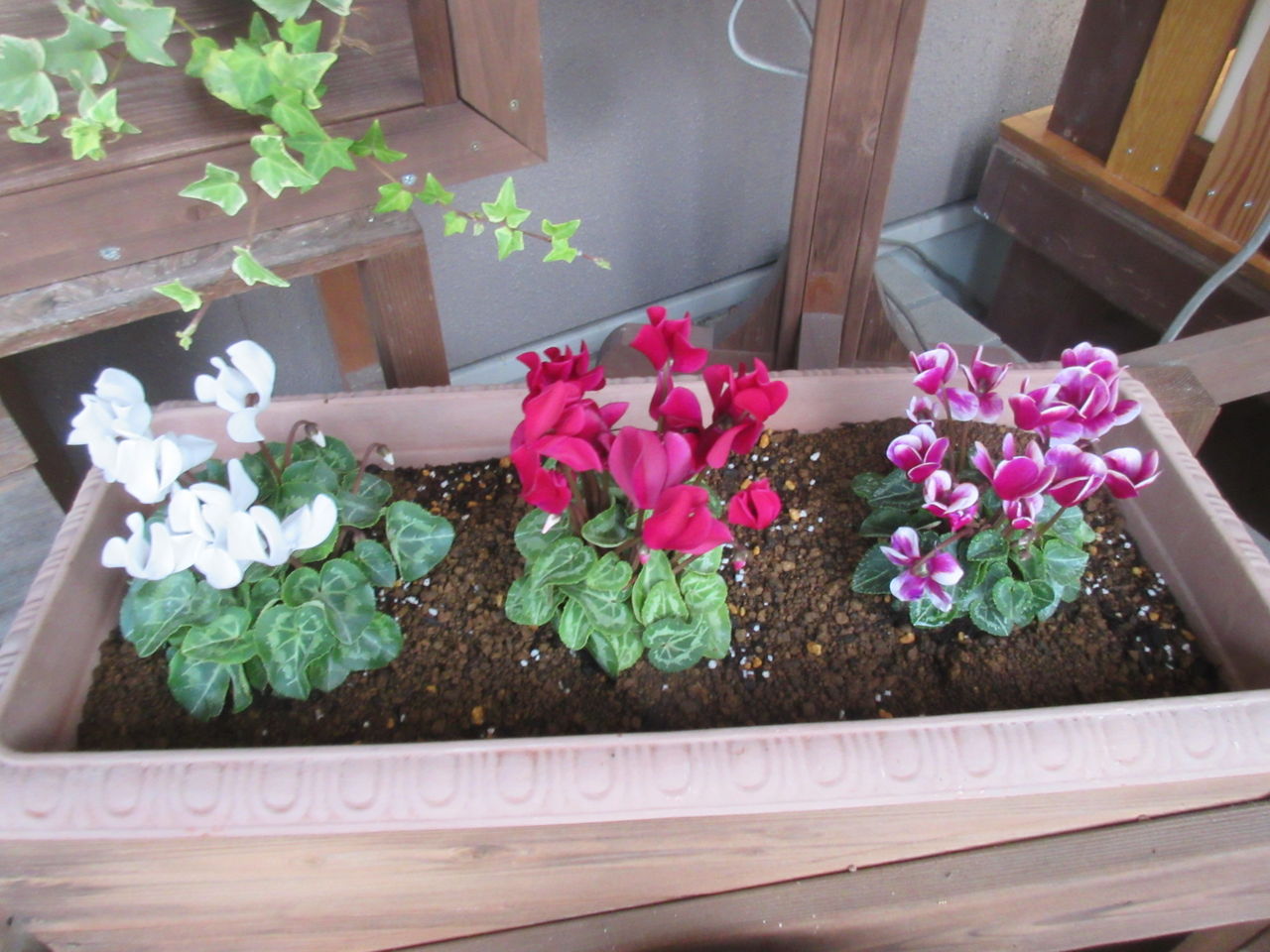 プランターと花壇に植えた花 Diy Heaven プランターと花壇に植えた花 Diy Heaven