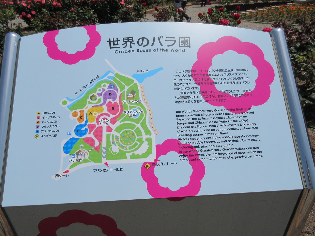 花フェスタ記念公園を妻と散策 Diy Heaven