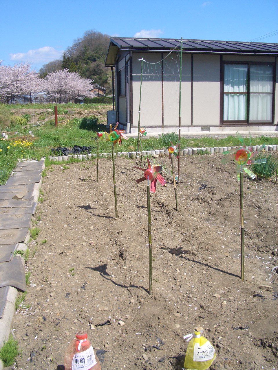 モグラ対策 Diy Heaven