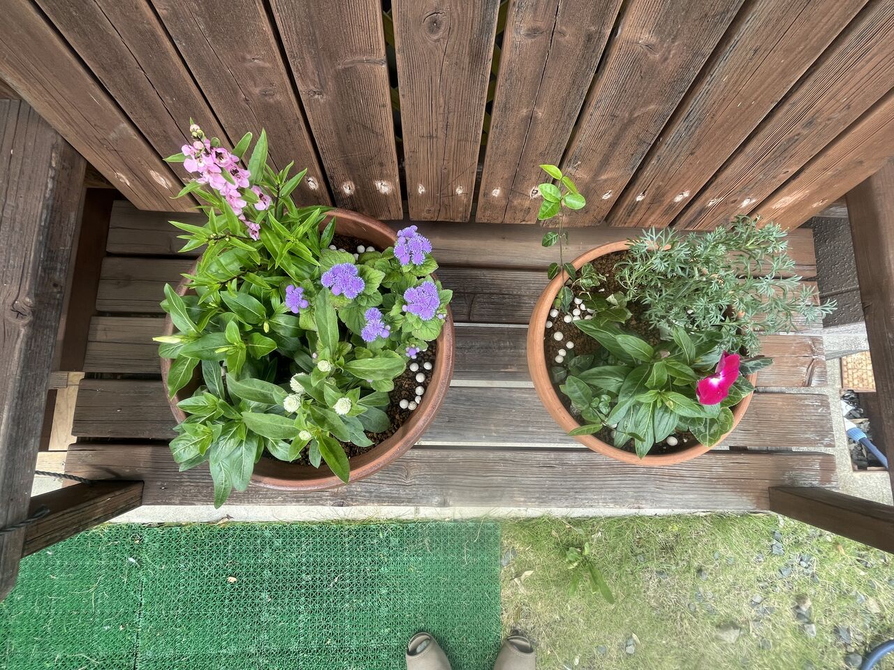 寄せ植えをプランター2鉢作りました！ : DIY HEAVEN