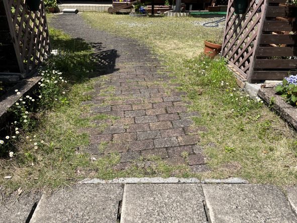 4月の花シリーズ 第5弾 Diy Heaven 4月の花シリーズ 第5弾 Diy Heaven