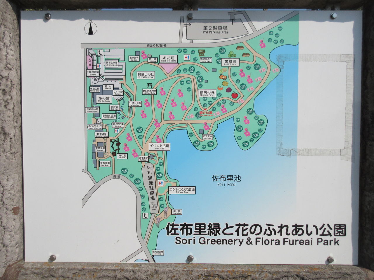 佐布里池 そうりいけ 梅まつりに行って来ました Diy Heaven