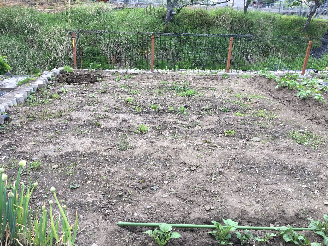 夏野菜の栽培の土つくりをしました Diy Heaven