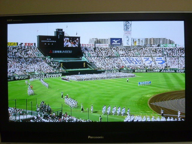 第93回全国高校野球選手権大会の開会式 : DIY HEAVEN