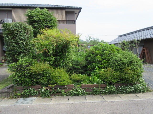 お庭の木々の剪定最終章 Diy Heaven お庭の木々の剪定最終章 Diy Heaven