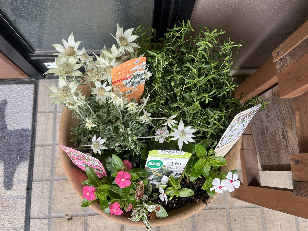 プランターに寄せ植えをしました！ : DIY HEAVEN