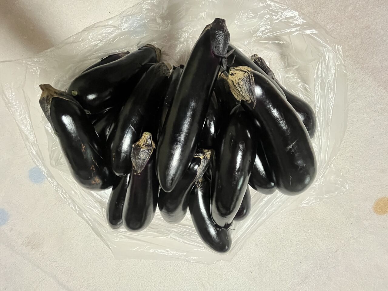 Yさんから茄子、Uさんから瓢箪カボチャを頂きました！ : DIY HEAVEN 