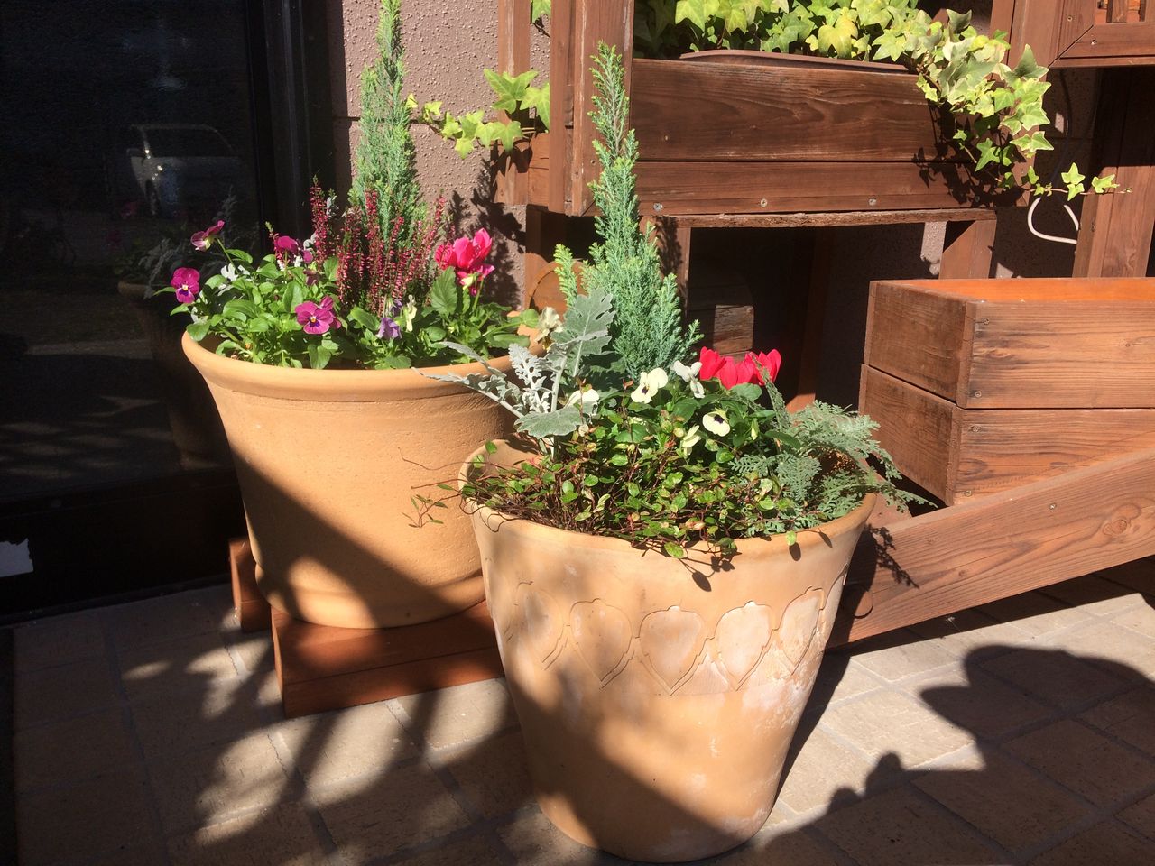 プランターと花壇に植えた花 Diy Heaven プランターと花壇に植えた花 Diy Heaven