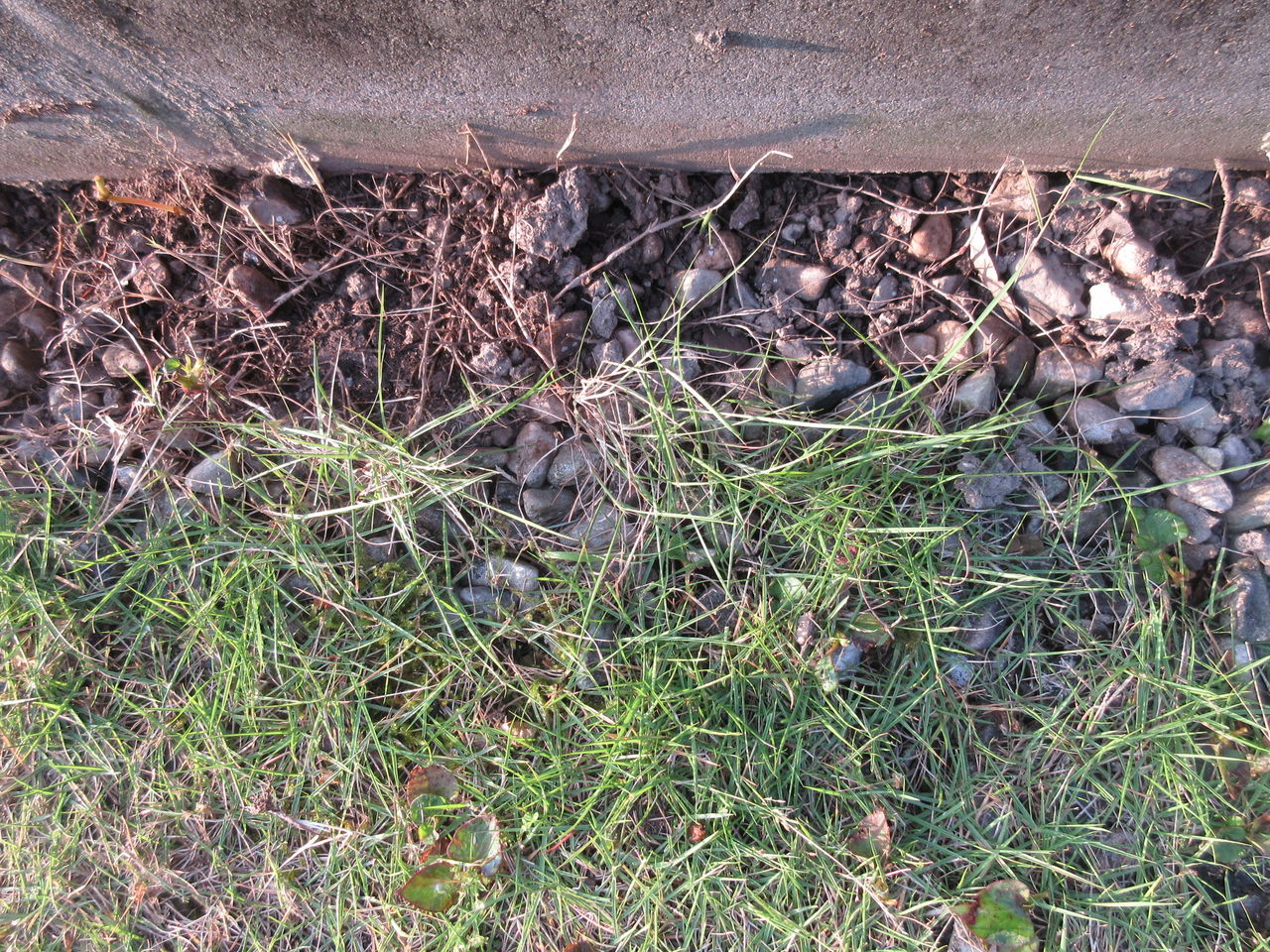 芝の根止めをしました Diy Heaven