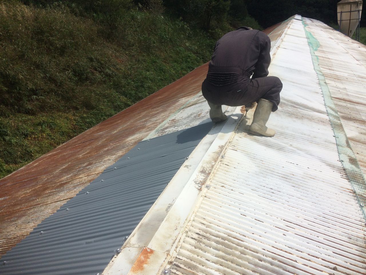 鶏舎の屋根の修理をしました Diy Heaven