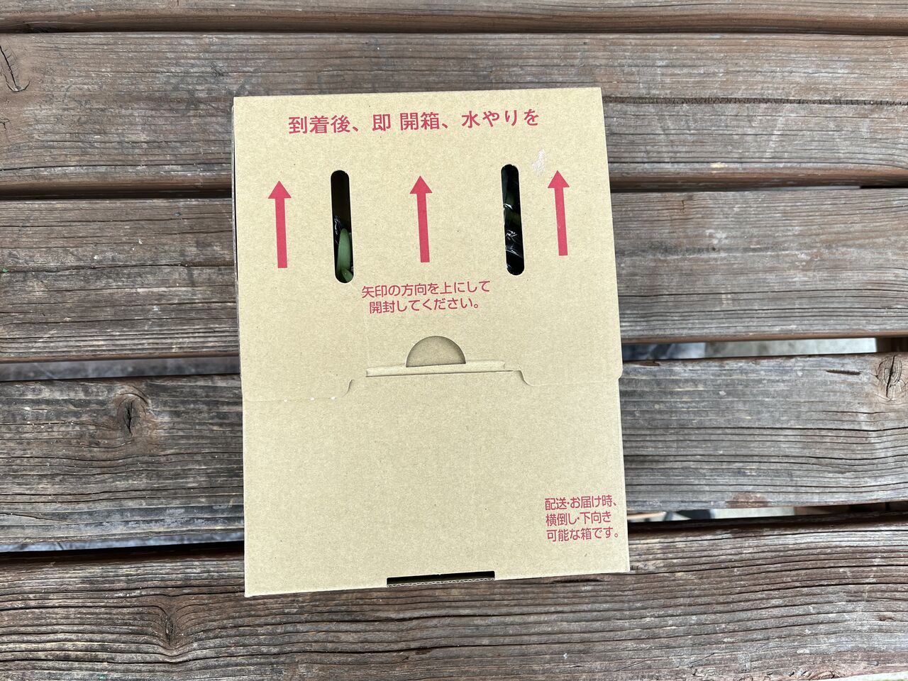 宿根かすみ草 をポットからプランターに移植しました Diy Heaven