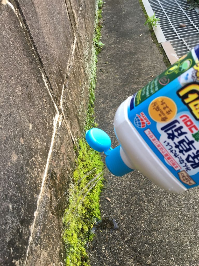 コケ退治しました Diy Heaven コケ退治しました Diy Heaven