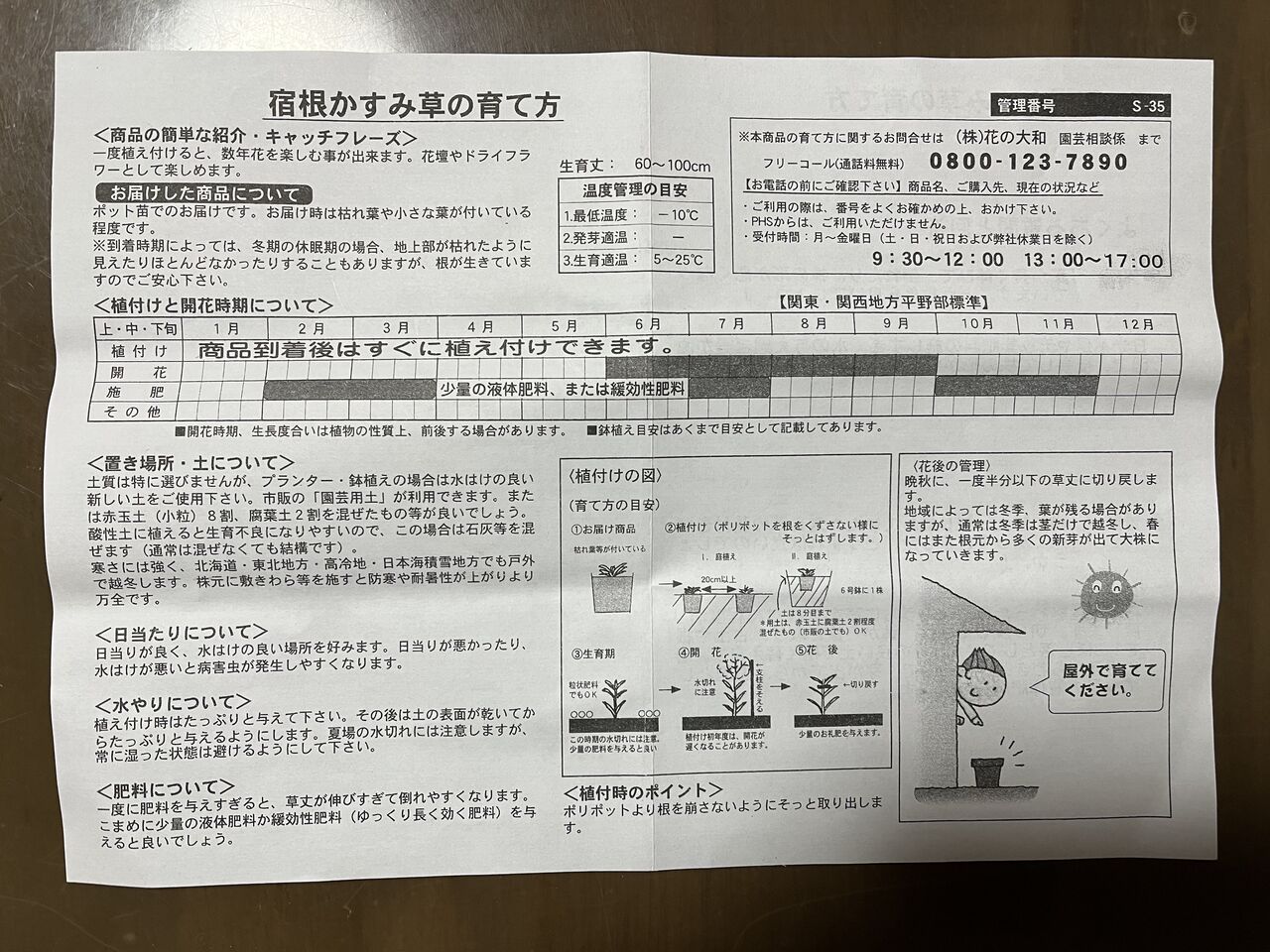 宿根かすみ草 をポットからプランターに移植しました Diy Heaven