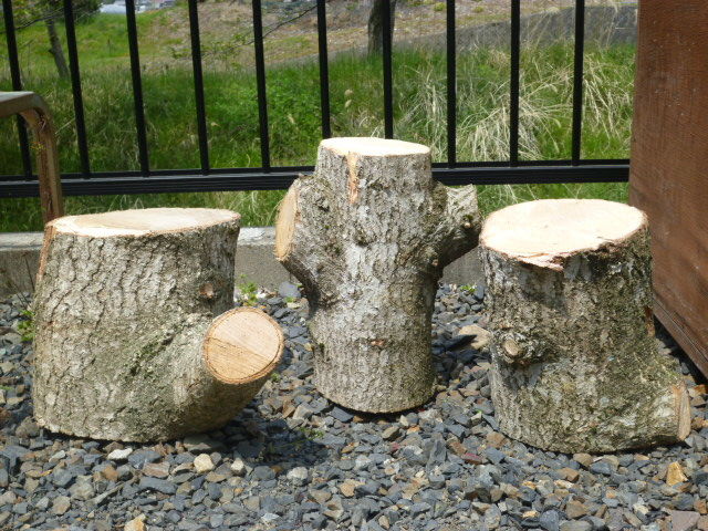 銀杏の切り株を利用！！ : DIY HEAVEN