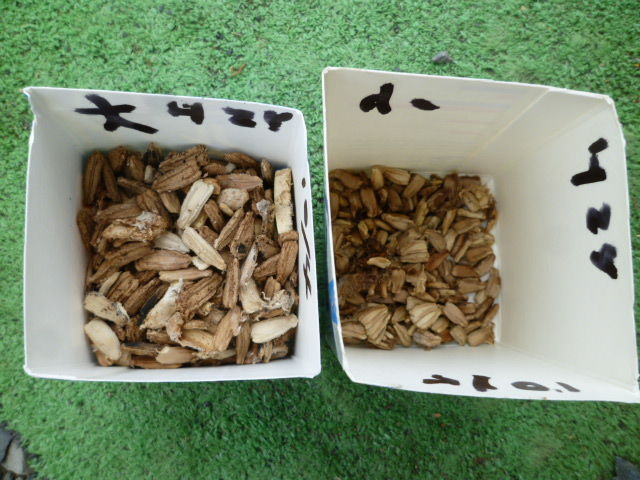 瓢箪の種 Diy Heaven 瓢箪の種 Diy Heaven