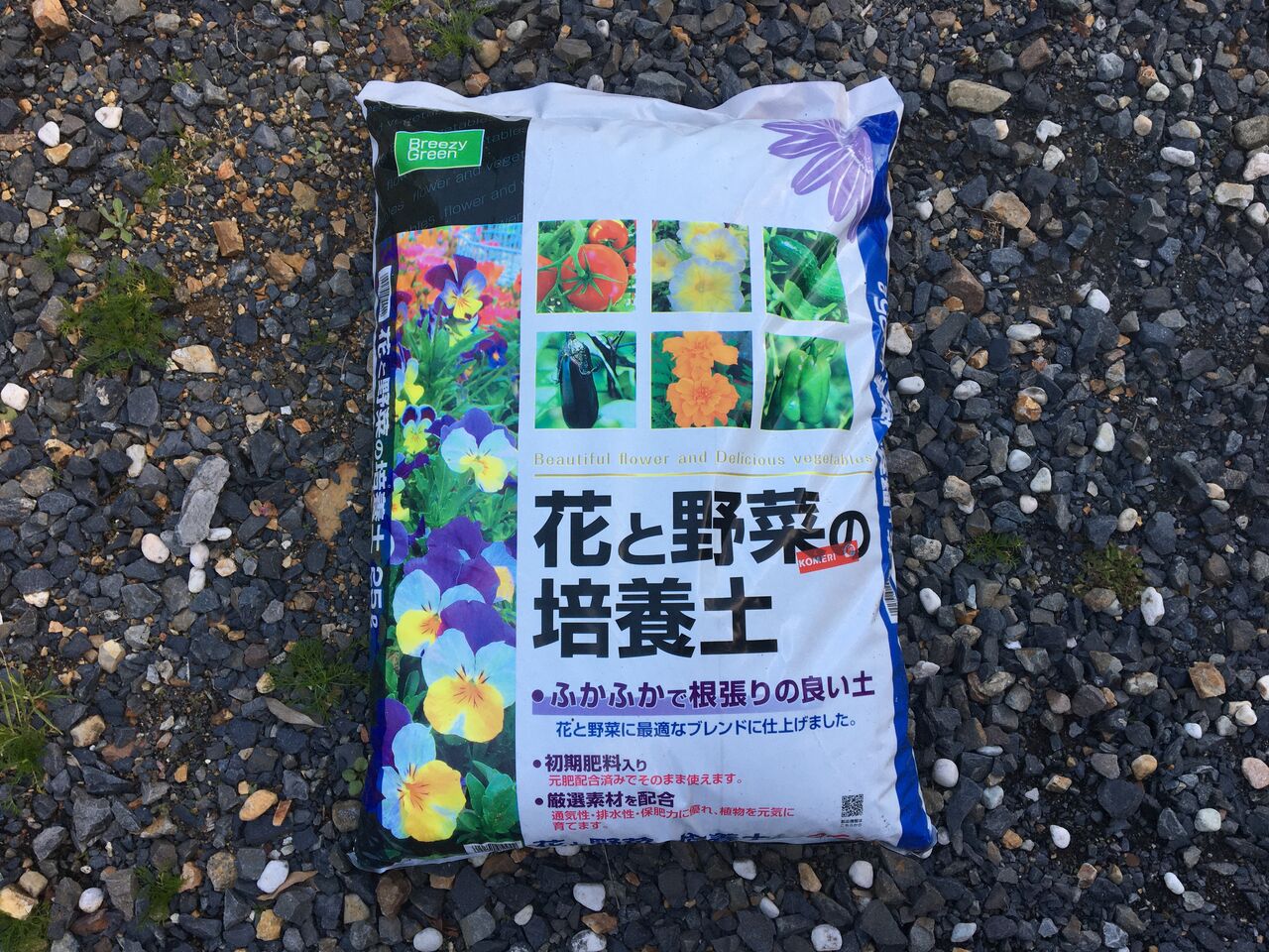 花壇とプランターにビオラ パンジーの苗を植えました Diy Heaven 花壇とプランターにビオラ パンジーの苗を植えました Diy Heaven