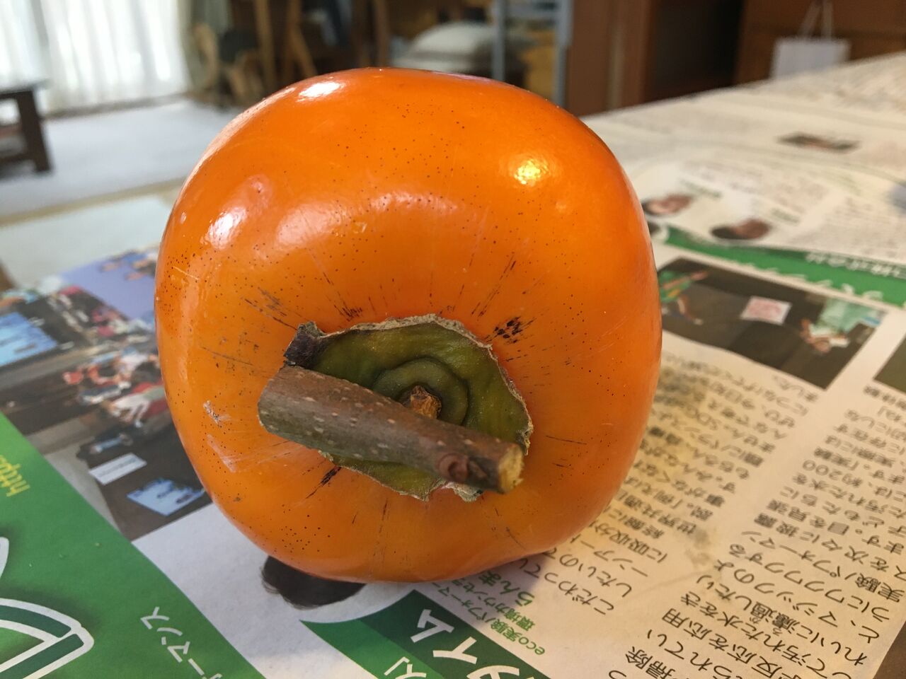 干し柿を作りました Diy Heaven