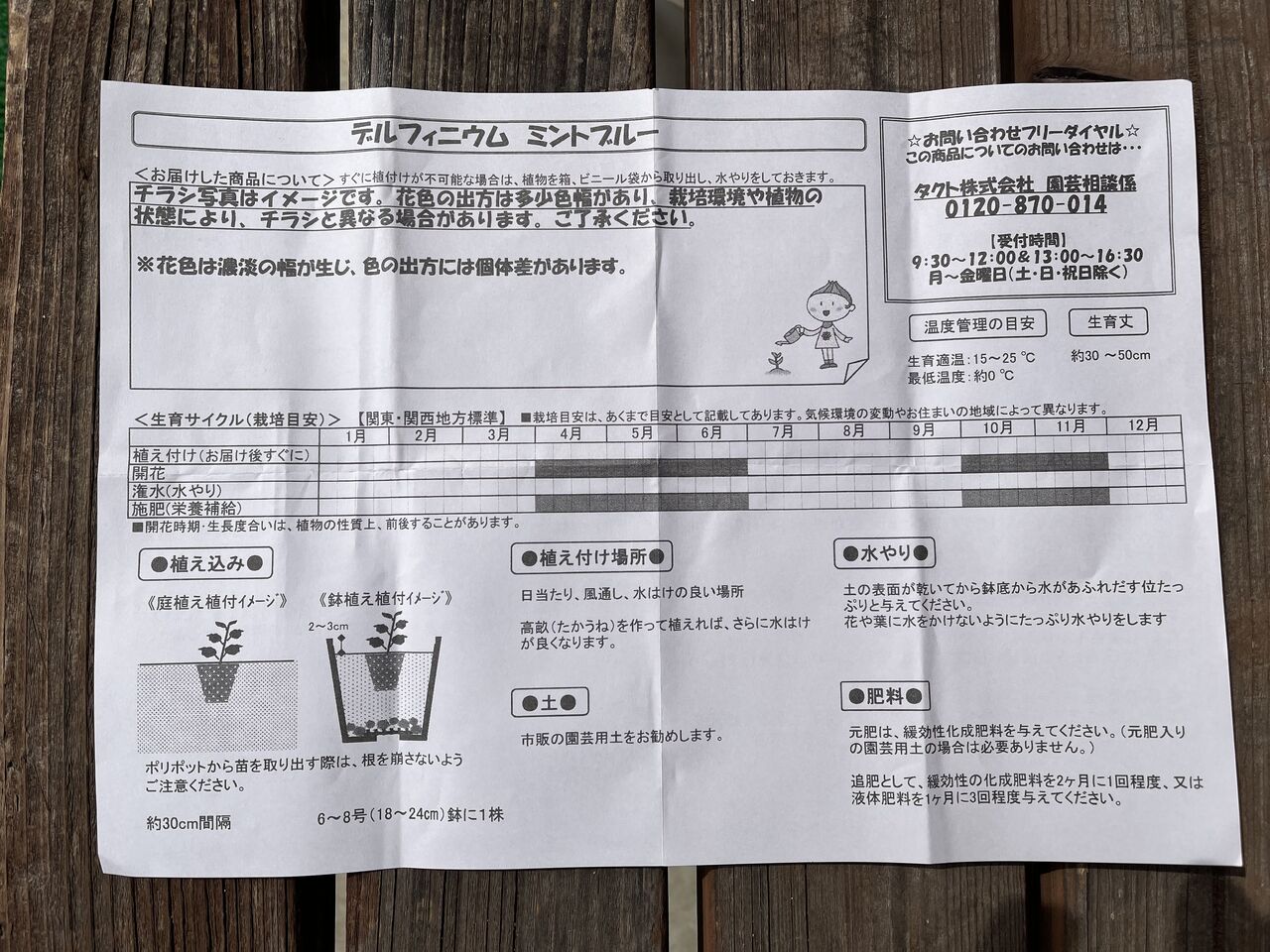 デルフィニウムミントブルーの苗をプランターに移植しました Diy Heaven