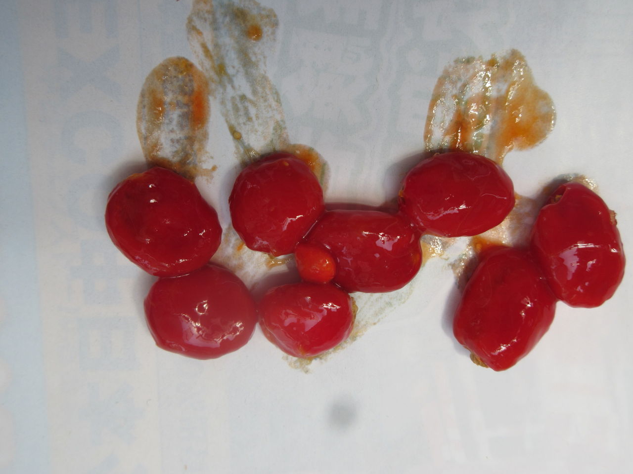 ゴーヤの種を確保しました Diy Heaven