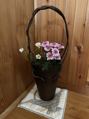 菊の挿し木＆ニゲラの種植えをしました！ : DIY HEAVEN