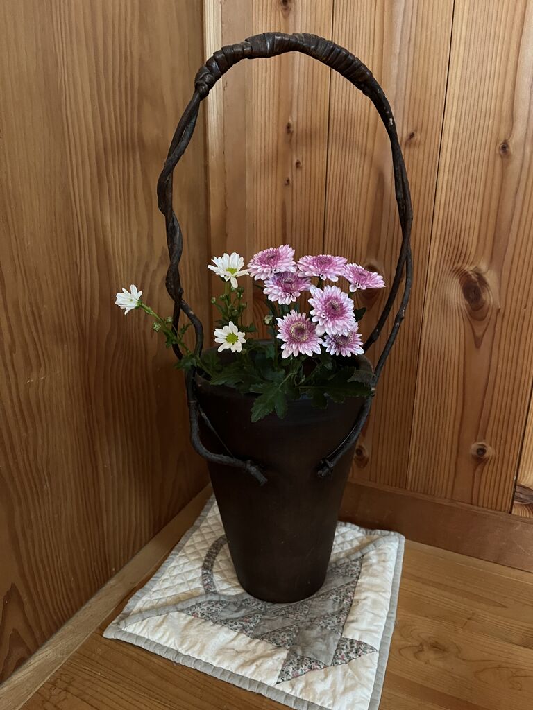 菊の挿し木＆ニゲラの種植えをしました！ : DIY HEAVEN