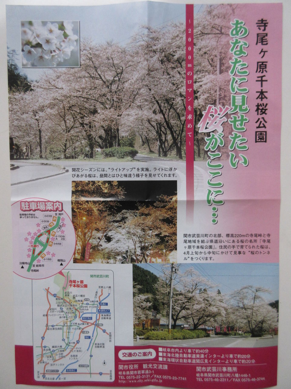寺尾千本桜 板取川の桜 道の駅 ラステン ほらど 大矢田もみじ谷 を散策 Diy Heaven 寺尾千本桜 板取川の桜 道の駅 ラステン ほらど 大矢田もみじ谷 を散策 Diy Heaven