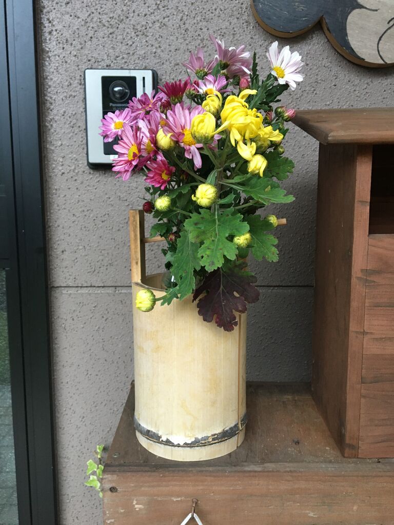 菊の花とスダチを頂きました Diy Heaven