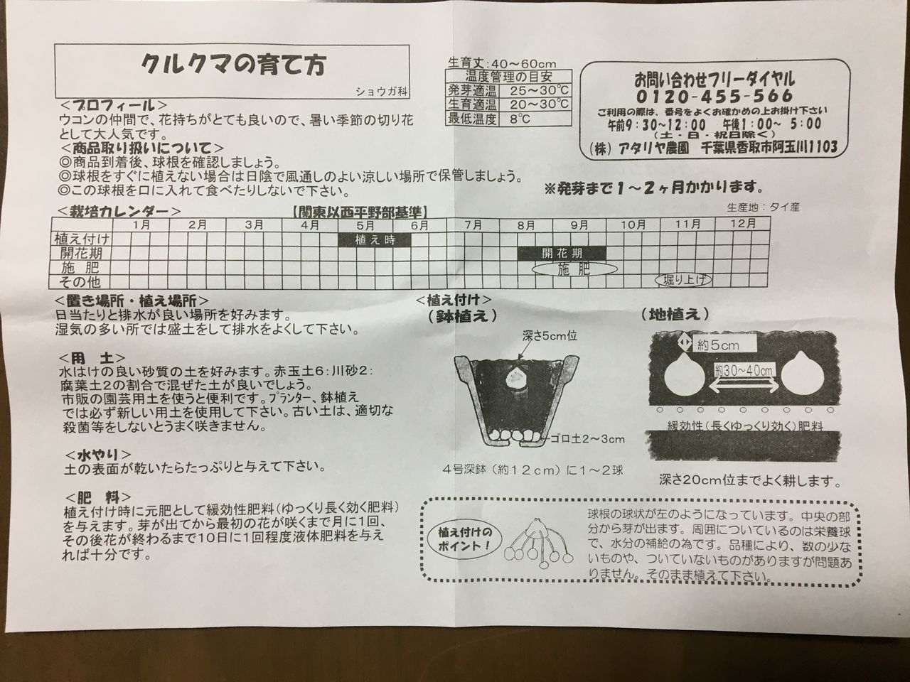 花と野菜の種蒔き Diy Heaven