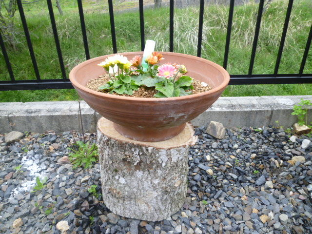 銀杏の切り株を利用！！ : DIY HEAVEN