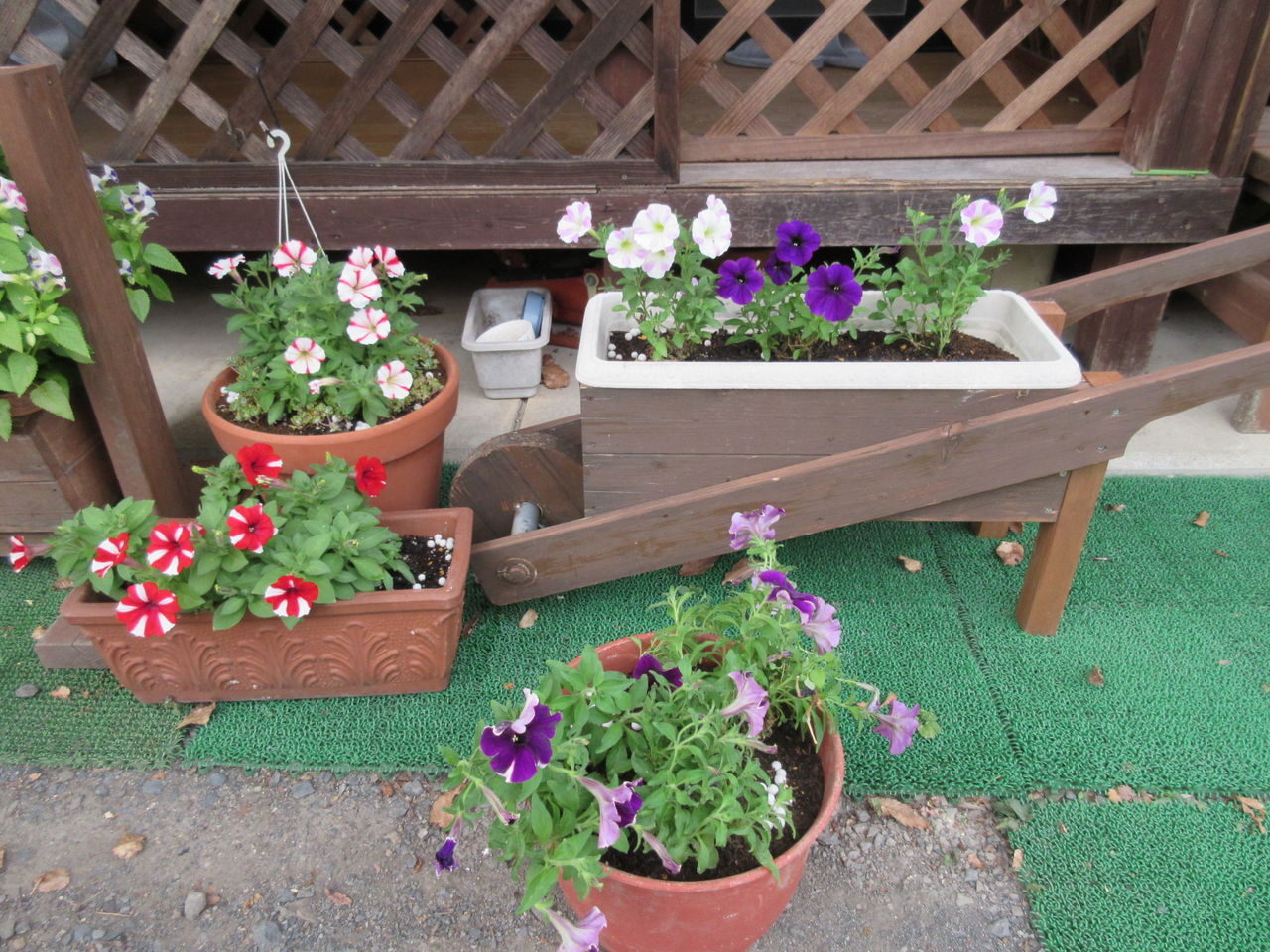 ポット苗を花壇とプランターに移植 Diy Heaven