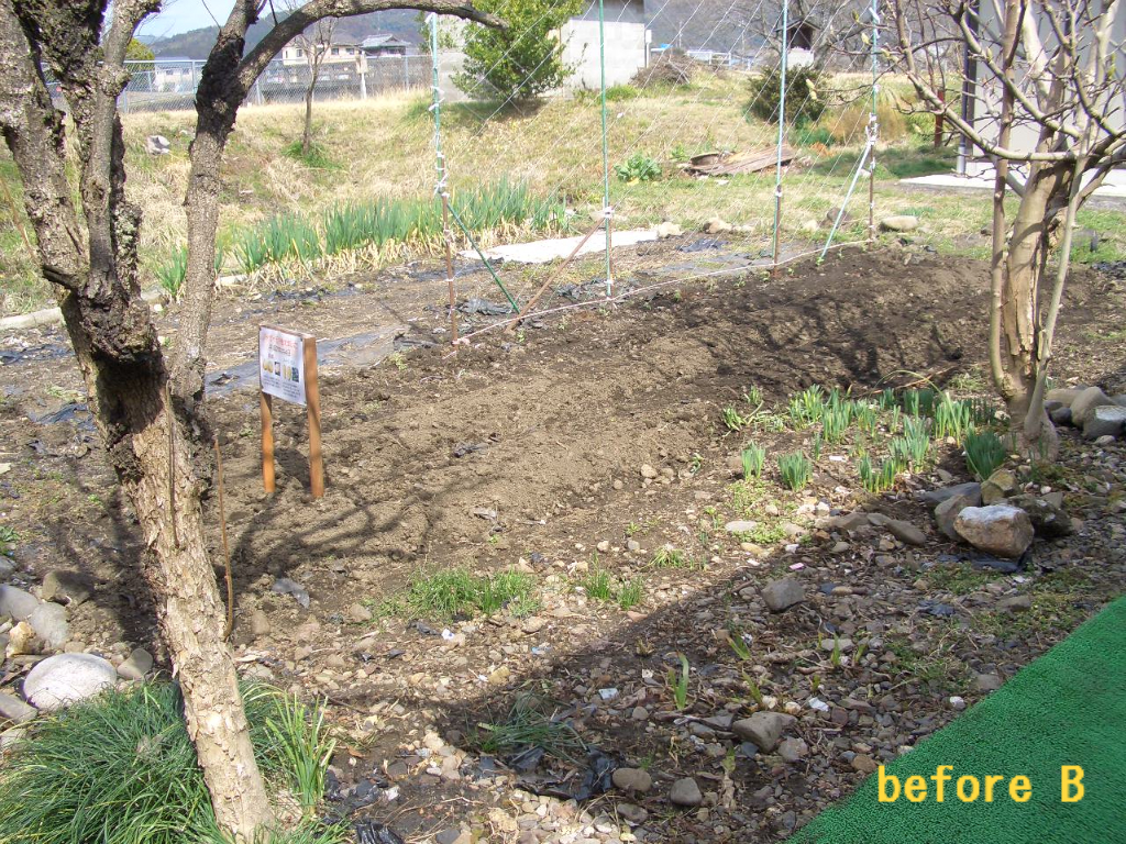 家庭菜園の囲いが完成 Diy Heaven