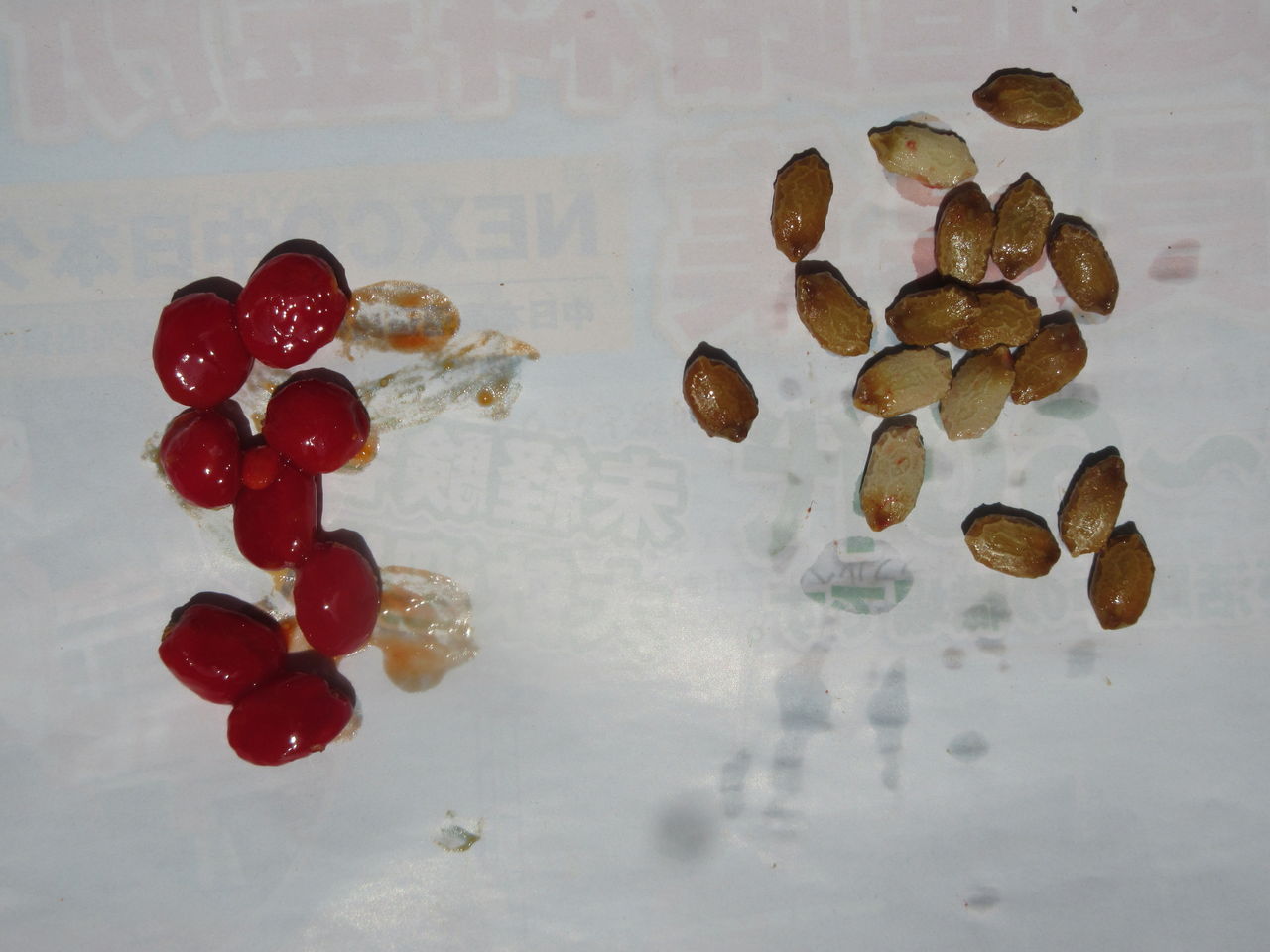 ゴーヤの種を確保しました Diy Heaven