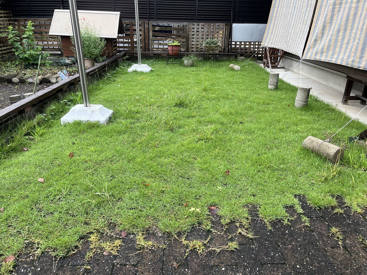 我が家の前の庭の草刈りをしました！ : DIY HEAVEN